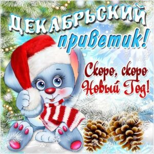 Открытка декабрьский привет