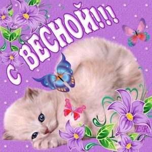 С весной в открытках