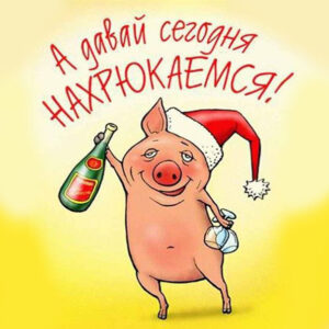 Давай напемся