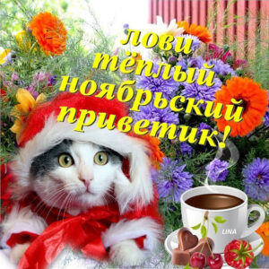 Ноябрьский привет картинка