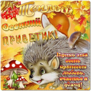 Забавные открытки гиф осень