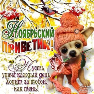 Ноябрьский привет мигающая открытка