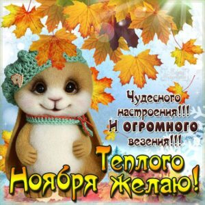 Открытка пожелание чудесного настроения