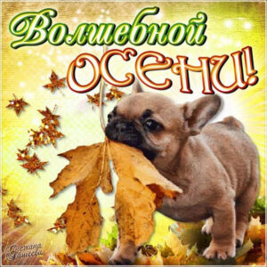 Пожелание осеннее картинка