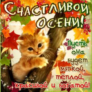 Пожелание счастливой осени