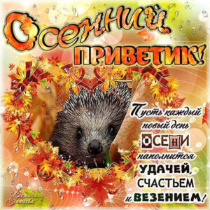 Золотая осень приветик