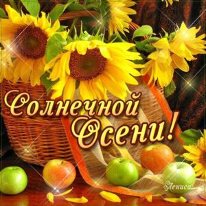 Картинки солнечной осени