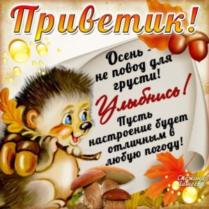 Открытки привет осень