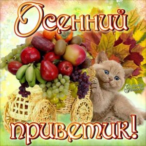 Картинки гиф осенний приветик