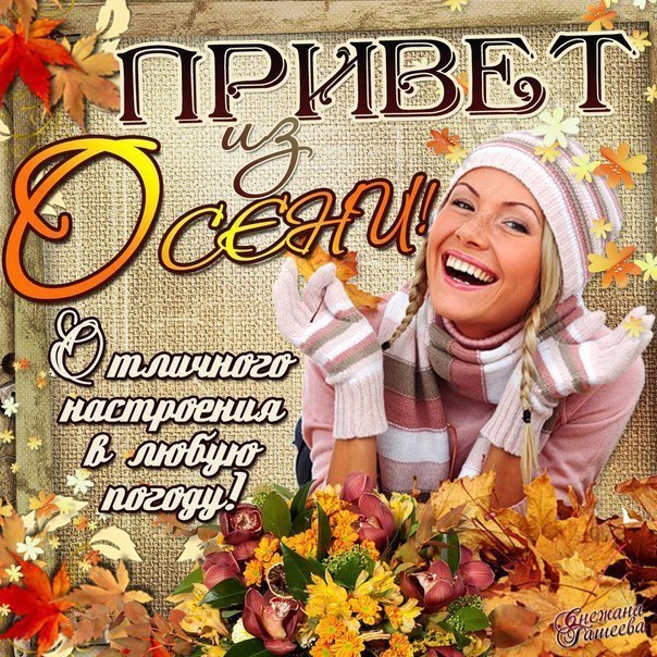 Красивая открытка привет