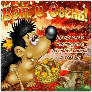Открытки вот и осень