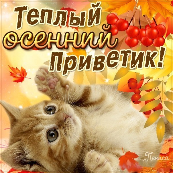 Теплый осенний приветик