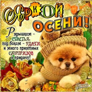 Картинки яркой осени пожелание