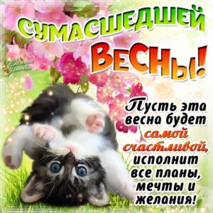 Красивая открытка весна
