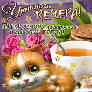 Душевного вечера открытка цветы кофе милый котик