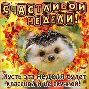 Открытки счастливой недели