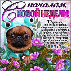Музыкальные открытки с началом недели