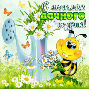 Дачный сезон прикол