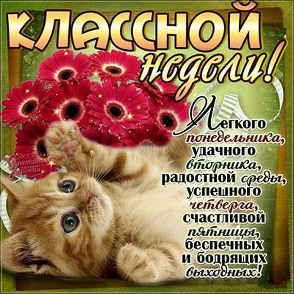 Позитивная открытка начало недели