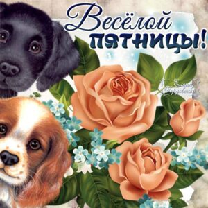 Очень приятная веселая открытка пятница со щенками