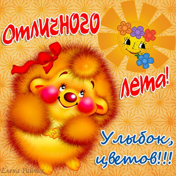 Ежик летом