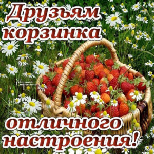 Друзьям пожелание