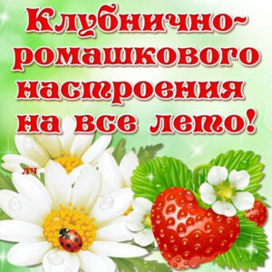 Клубничное настроение в картинках