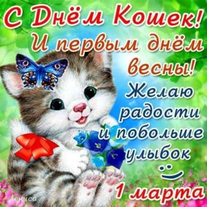 В картинках день кошек день весны