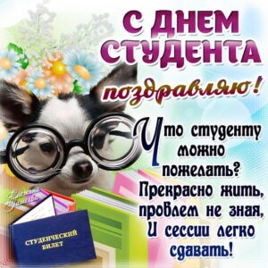 Анимация день студента красивая картинка