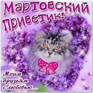 Мартовский привет друзьям в открытках