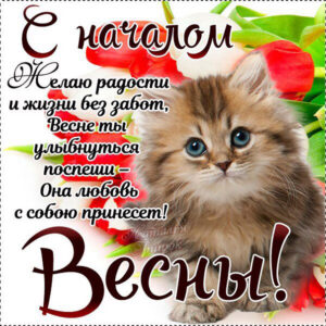 С началом весны открытки блестящие