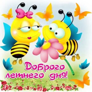 летний день