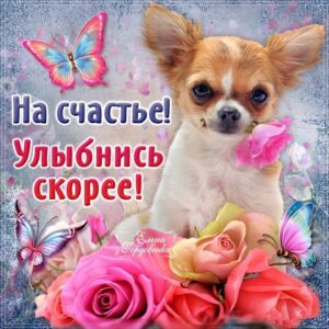 Гиф открытки улыбнись скорее