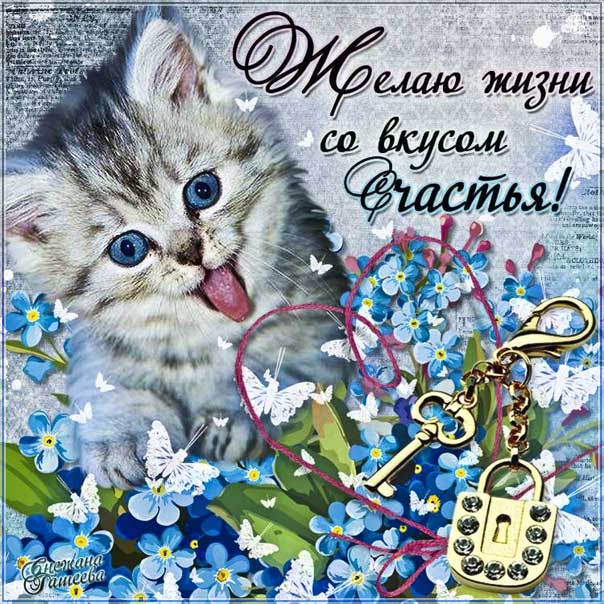 Желаю счастья картинки анимация. Котенок, цветы, с надписью, добрая открытка, желаю.