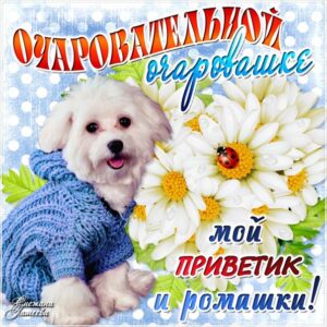 ты очарование открытка