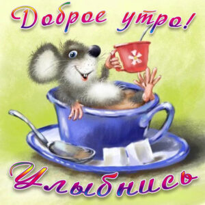 Веселые открытки