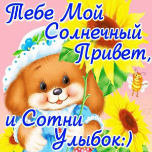 Открытка просто так