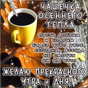 Доброе утро картинки, картинки утро чашечка тепла, позитивного утра, картинка утро доброе настало, с добрым утром открытки, с пожеланием хорошего утра, доброе утро осень кофе, утро кофе надпись, удачного утра открытки, осеннего красивого утра, осень утро пожелание, восхитительного утра, бодрого тебе утра, солнечного утра