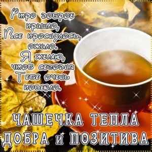 Доброе утро картинки, картинки утро чашечка тепла, позитивного утра, картинка утро доброе настало, с добрым утром открытки, с пожеланием хорошего утра, доброе утро осень кофе, утро кофе надпись, удачного утра открытки, сказочно красивого утра, сладкого утра, восхитительного утра, бодрого тебе утра, солнечного утра