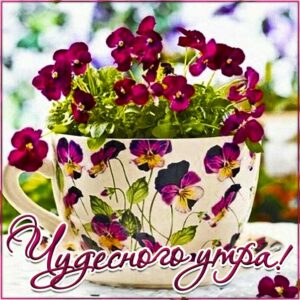 Картинка чудесного утра. Красивая надпись утро, яркого утречка, цветы, стих утро, текст с утром, мерцание, с пробуждением, узоры, слова, бабочки, цветная, открытки.