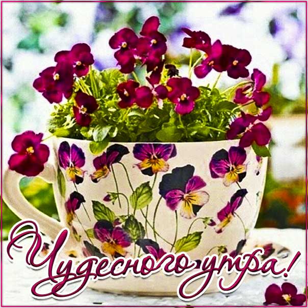 Картинка чудесного утра. Красивая надпись утро, яркого утречка, цветы, стих утро, текст с утром, мерцание, с пробуждением, узоры, слова, бабочки, цветная, открытки.