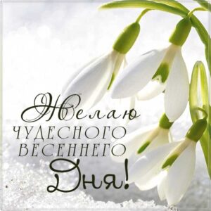 чудесного весеннего дня, весенний день, картинка доброго дня, подснежники весна, картинка с надписью добрый день, отличного настроения, позитивного дня