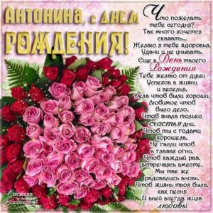 Картинки с Днем рождения Антонина, розы, цветы, красивая надпись, Антонине открытка с днем рождения