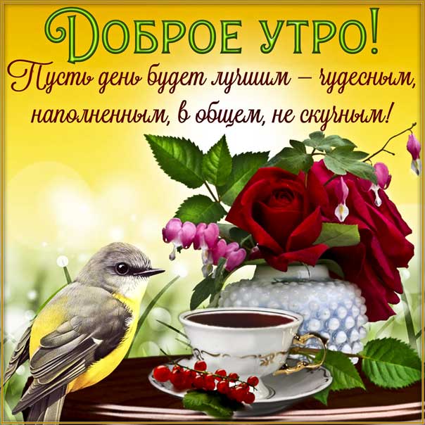 Красивая картинка доброе утро. Со словами позитивного утречка, птичка, цветы, лучшего дня, цветы, мигающие, стихи, картинки желаю, пусть везет, открытка.