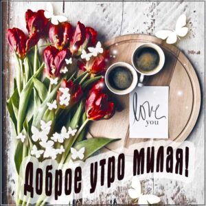 Доброе утро, милой с добрым утром, девушке утро доброе, подруге с добрым утром, утро кофе тюльпаны