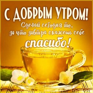 С добрым утром напутствие картинка. Сделай сегодня то, что завтра.