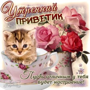 Утренний привет друзьям любимым позитив утро