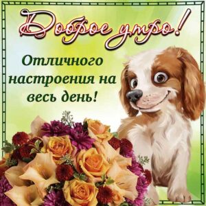 Доброе утро открытка отличного дня