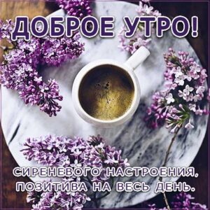с добрым утром открытки, утро цветы, сирень кофе, чудесного тебе утра, романтического утра, удачного утра, сказочно красивого утра, сладкого утра, восхитительного утра, бодрого тебе утра, солнечного утра, чудесных эмоций