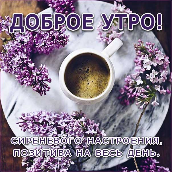 с добрым утром открытки, утро цветы, сирень кофе, чудесного тебе утра, романтического утра, удачного утра, сказочно красивого утра, сладкого утра, восхитительного утра, бодрого тебе утра, солнечного утра, чудесных эмоций